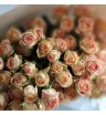 Монобукет из 19 кустовых роз Априкот  3